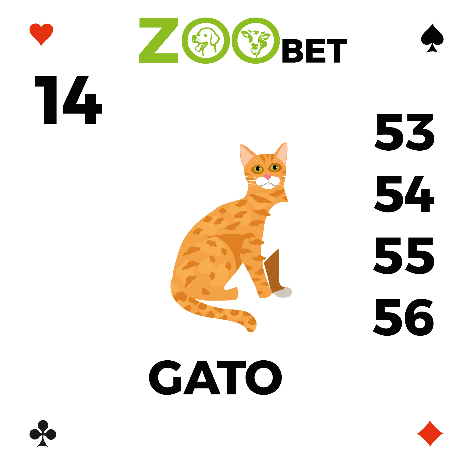 gato