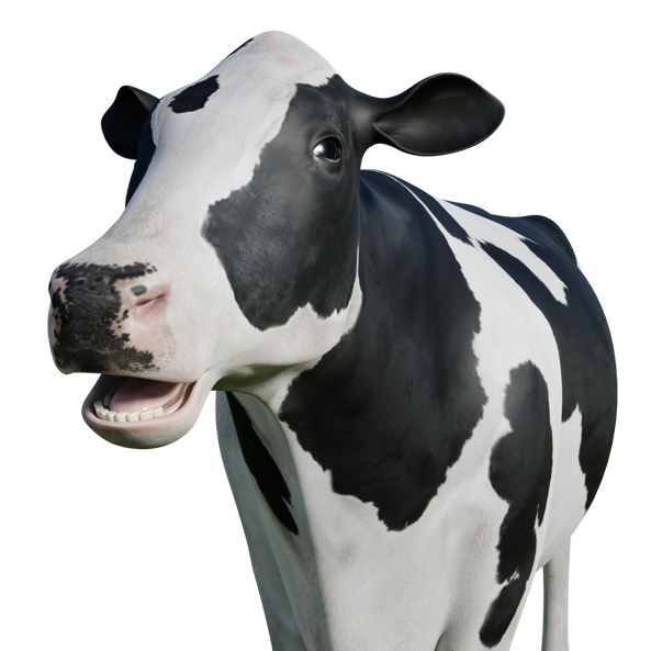 image do animal vaca